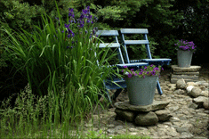 Blå stolar i dammhörnet